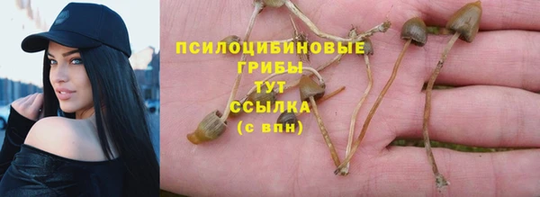прущая мука Гусев