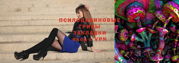 прущая мука Гусев